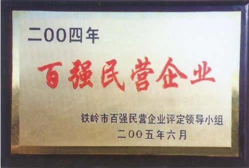 百強民營企業(yè)